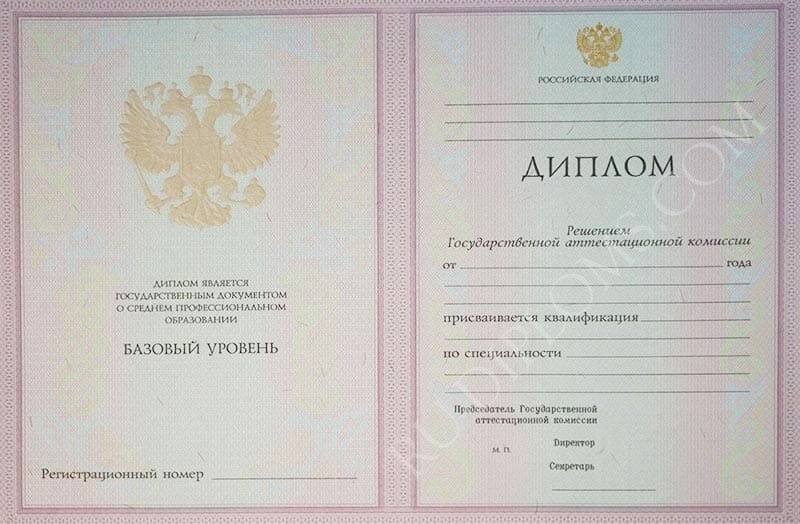 Диплом техникума или колледжа 2004-2006 год 